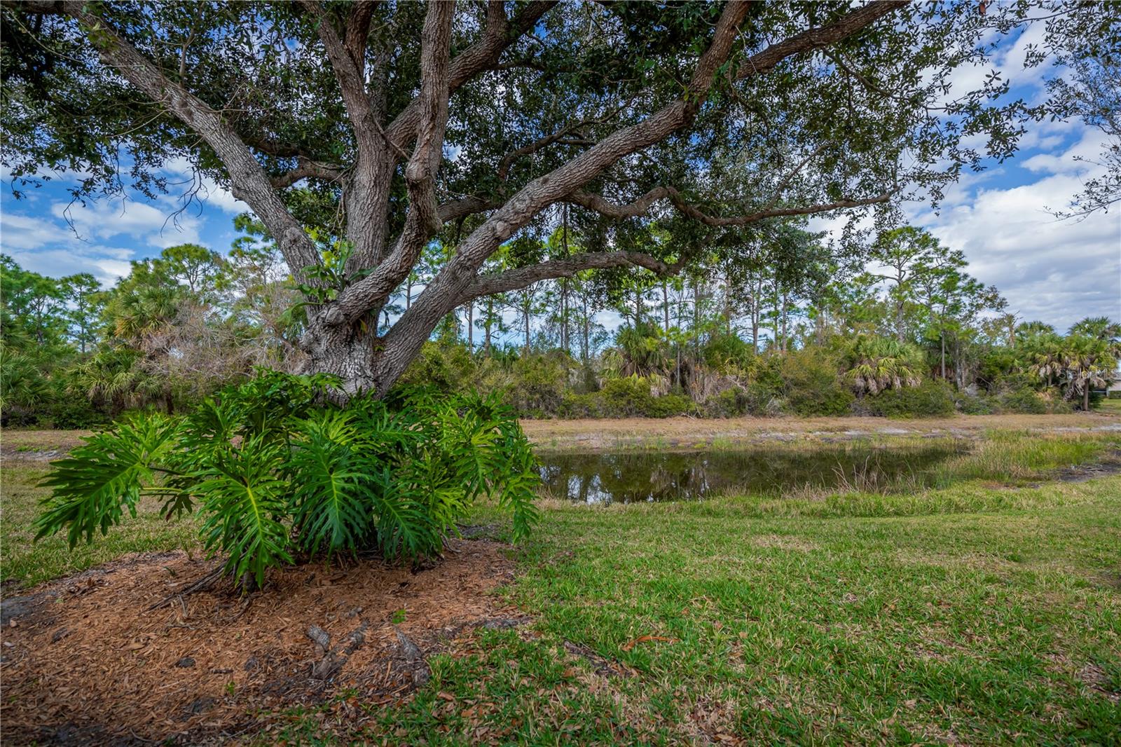 Image 53 of 62 For 9260 Coachman Drive