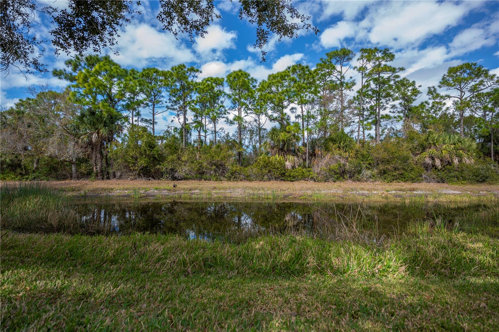 Image 55 of 62 For 9260 Coachman Drive