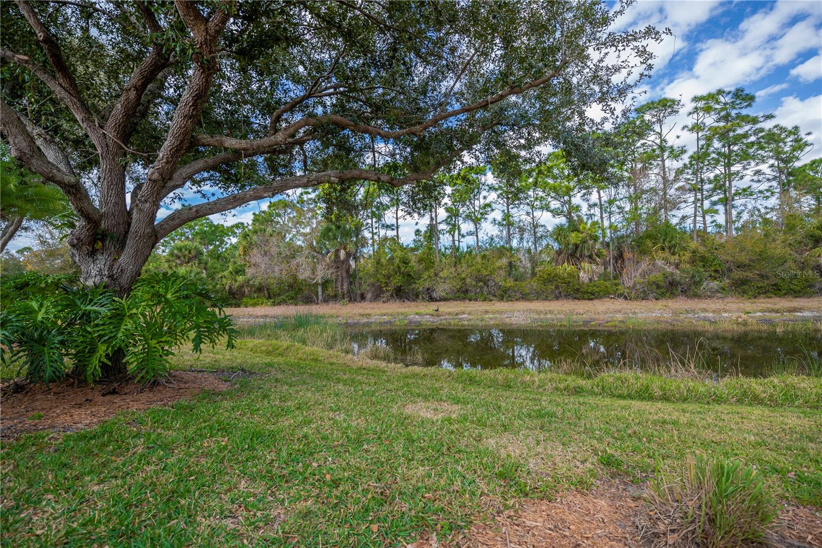 Image 56 of 62 For 9260 Coachman Drive