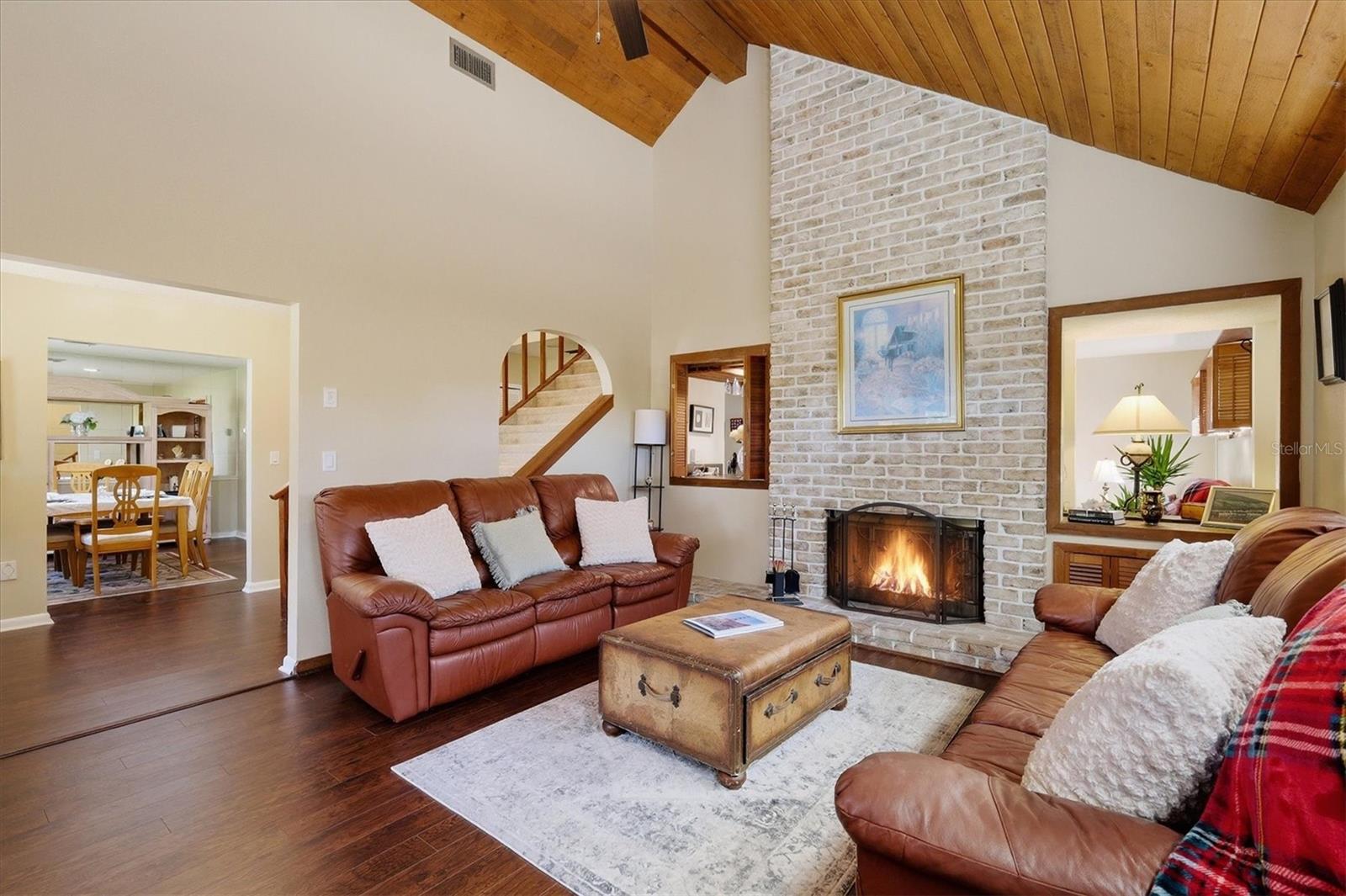 Image 10 of 64 For 2020 Dolphin Drive