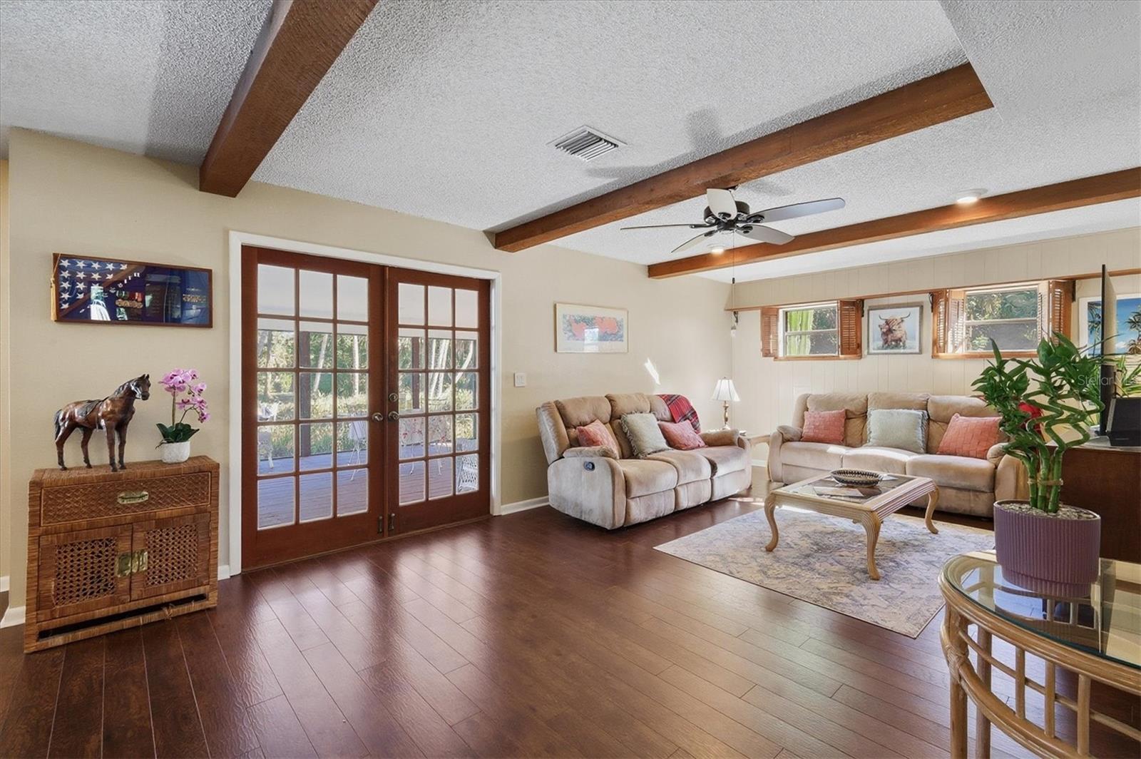 Image 12 of 64 For 2020 Dolphin Drive