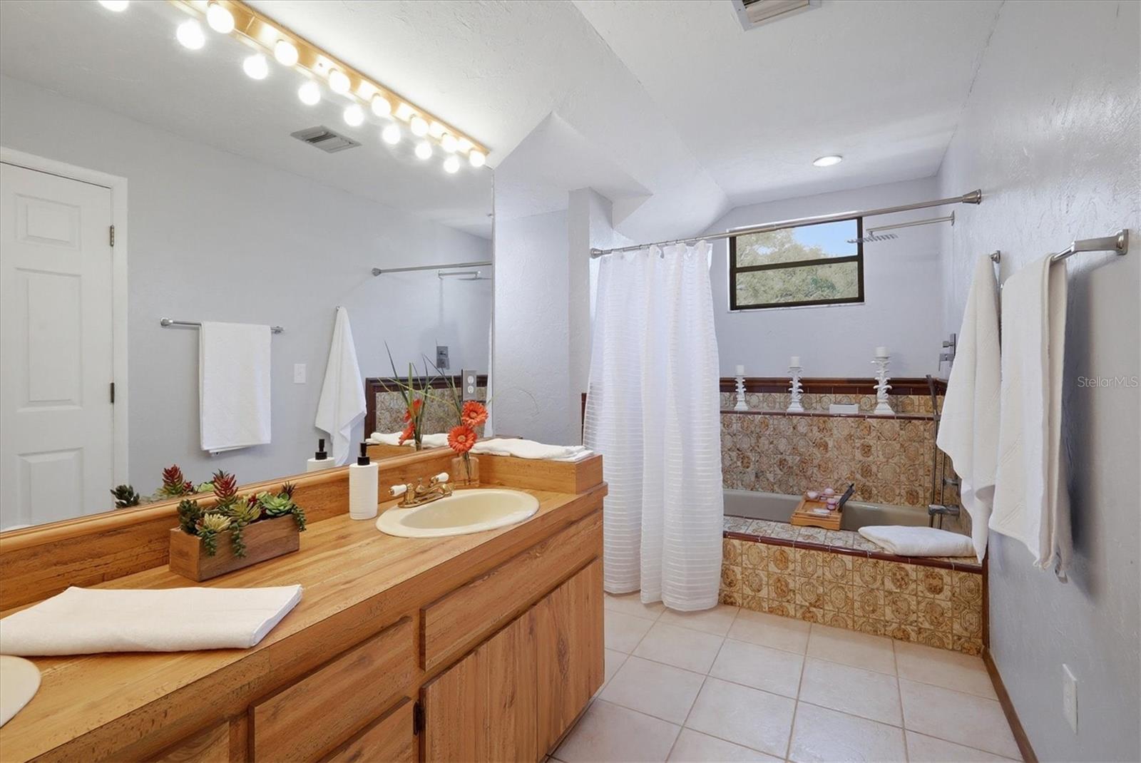 Image 26 of 64 For 2020 Dolphin Drive