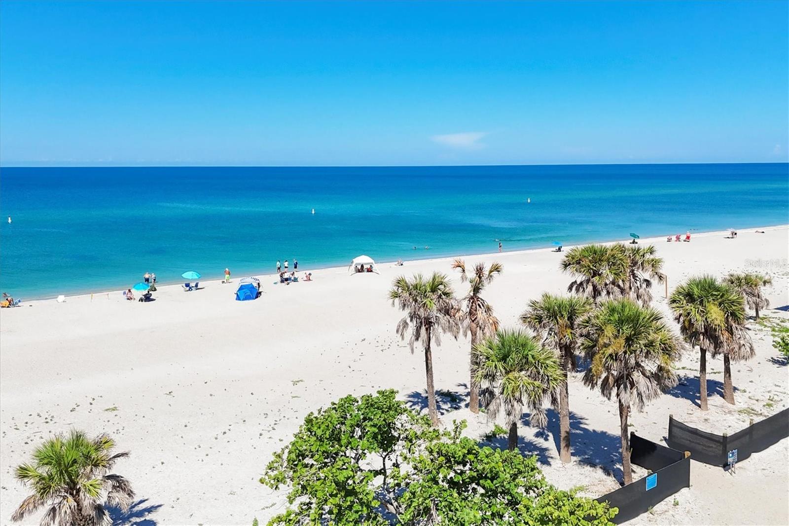 Image 61 of 64 For 2020 Dolphin Drive