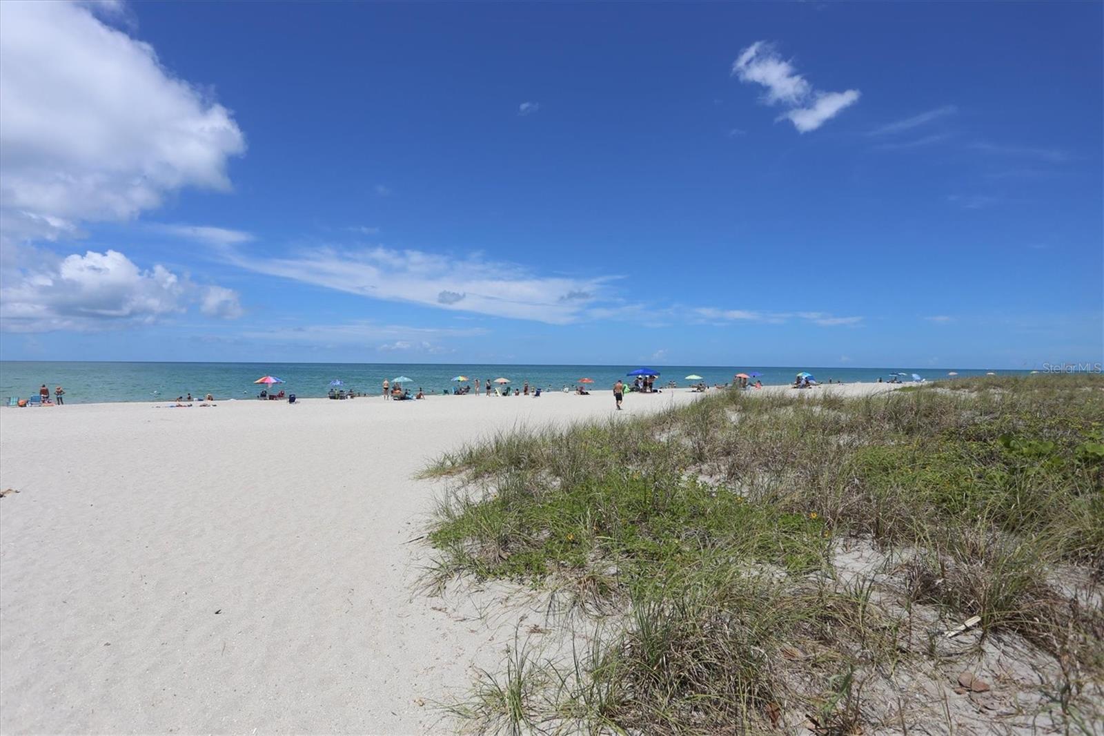 Image 64 of 64 For 2020 Dolphin Drive