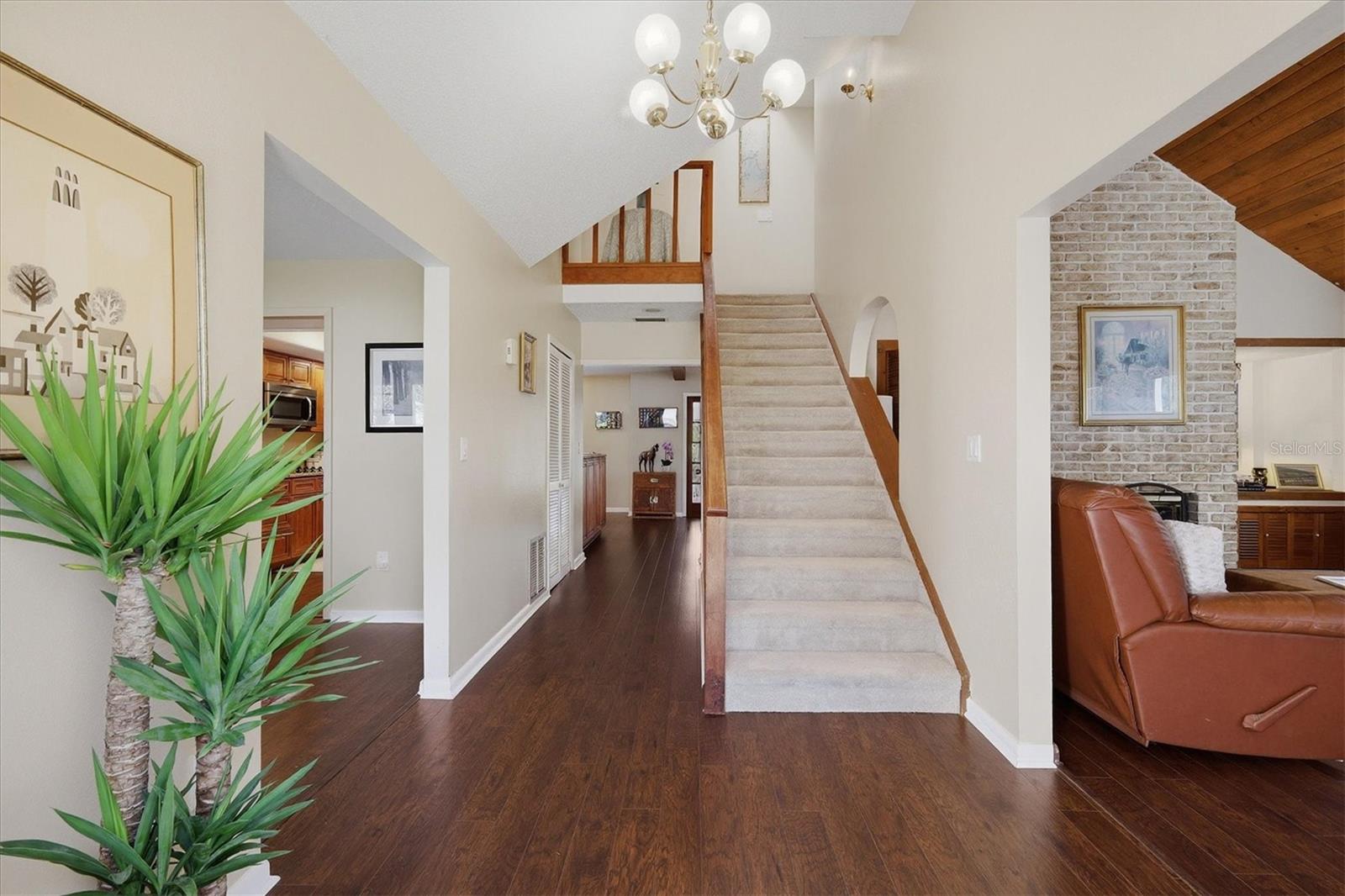 Image 7 of 64 For 2020 Dolphin Drive