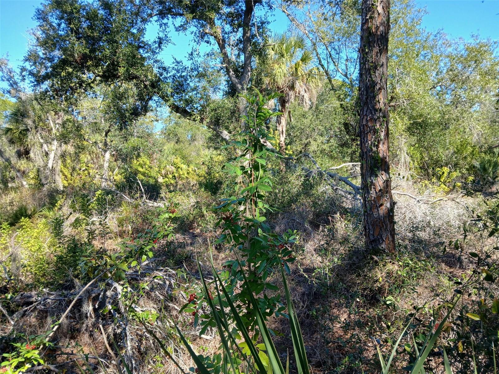 Image 11 of 26 For 13493 Markham Avenue