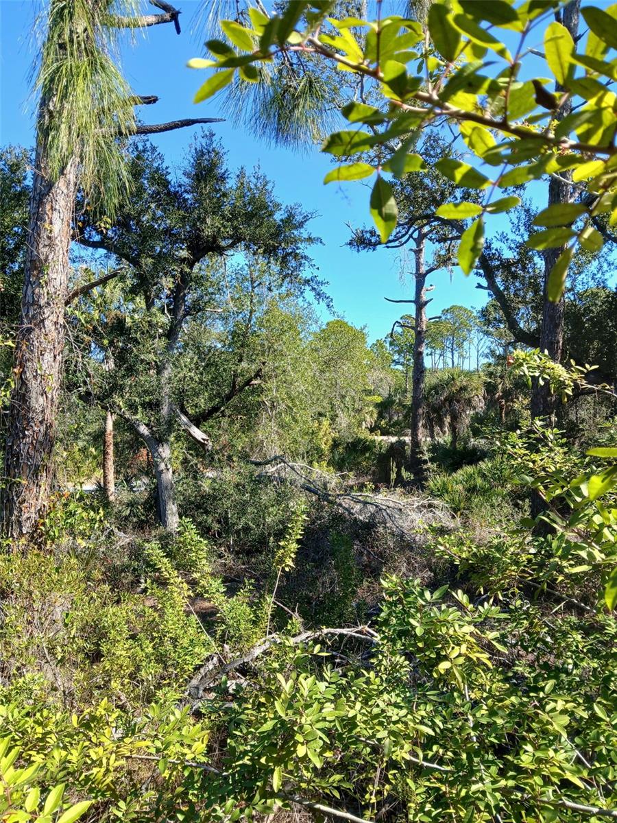 Image 14 of 26 For 13493 Markham Avenue