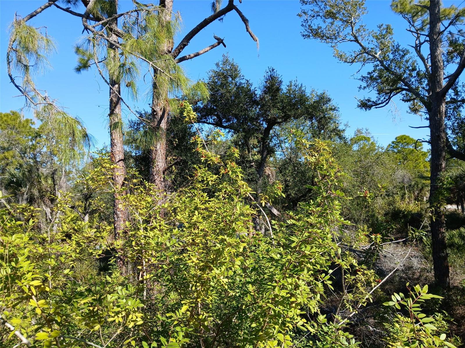 Image 15 of 26 For 13493 Markham Avenue