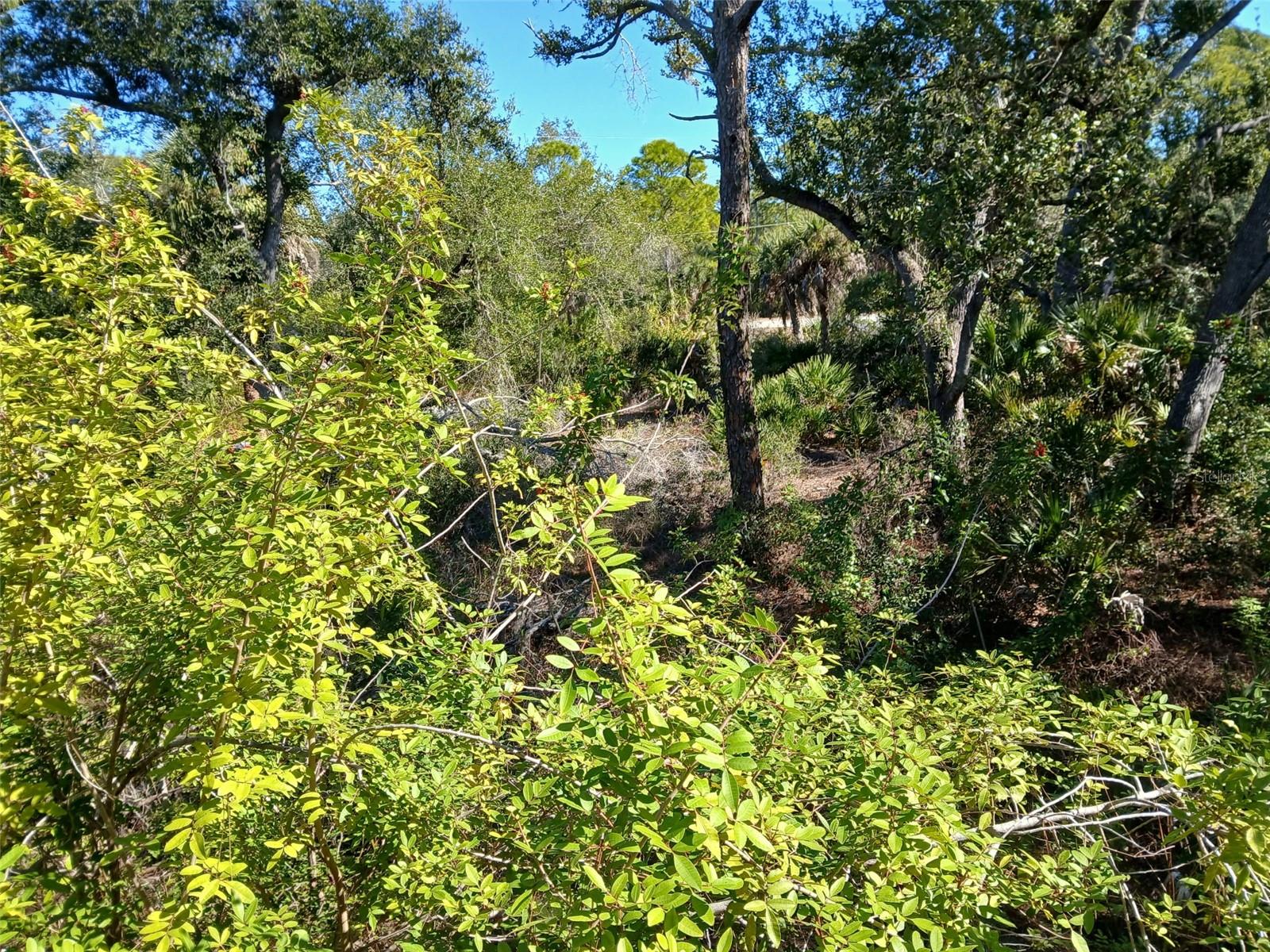 Image 17 of 26 For 13493 Markham Avenue