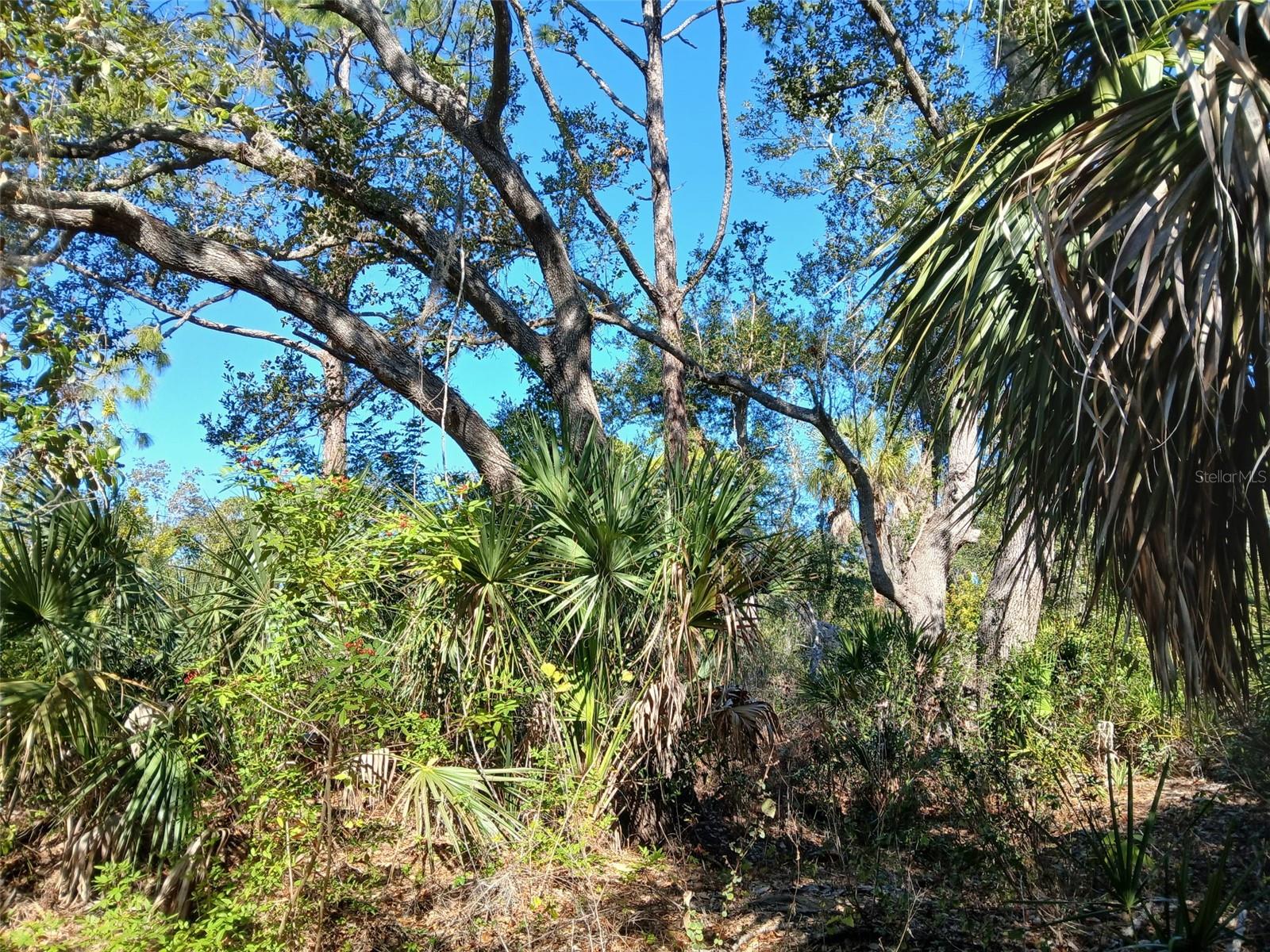 Image 18 of 26 For 13493 Markham Avenue