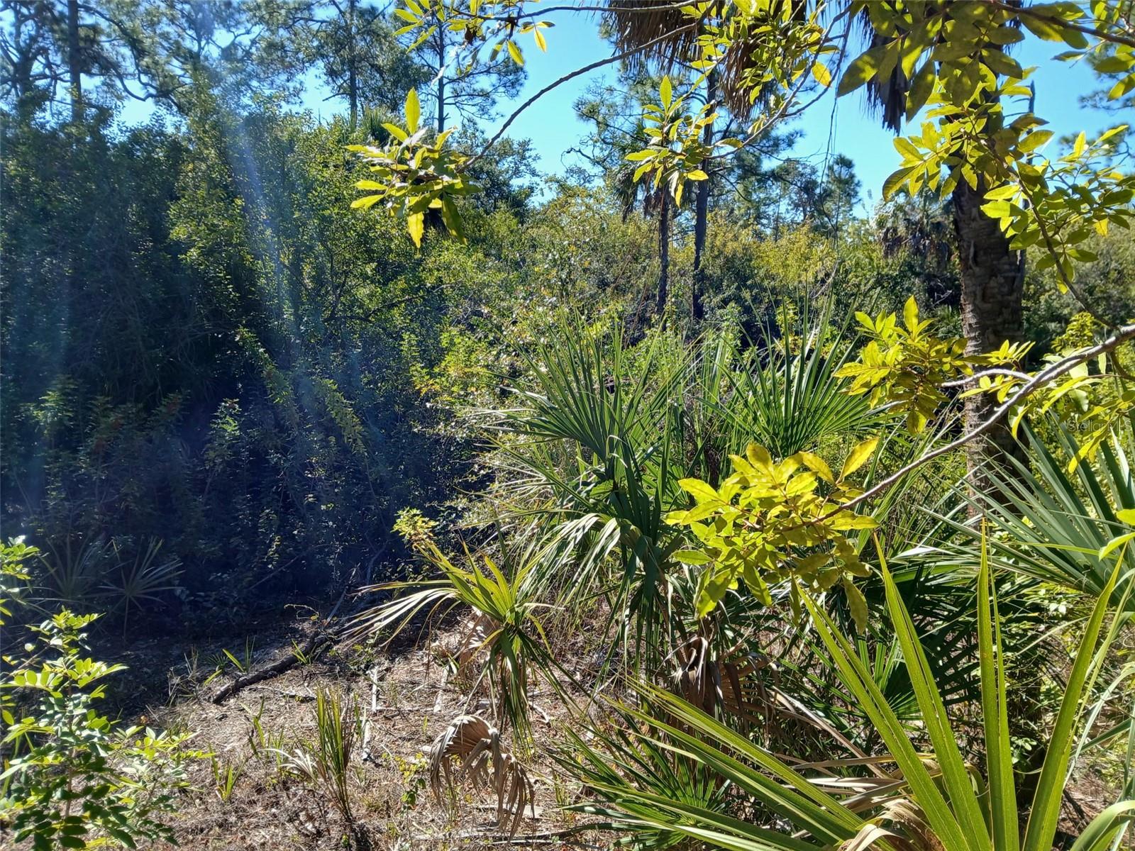 Image 19 of 26 For 13493 Markham Avenue