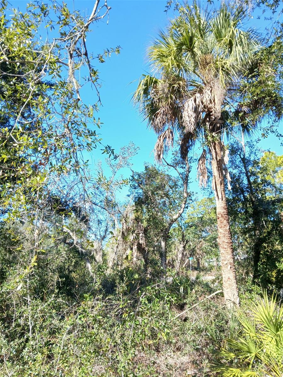 Image 21 of 26 For 13493 Markham Avenue