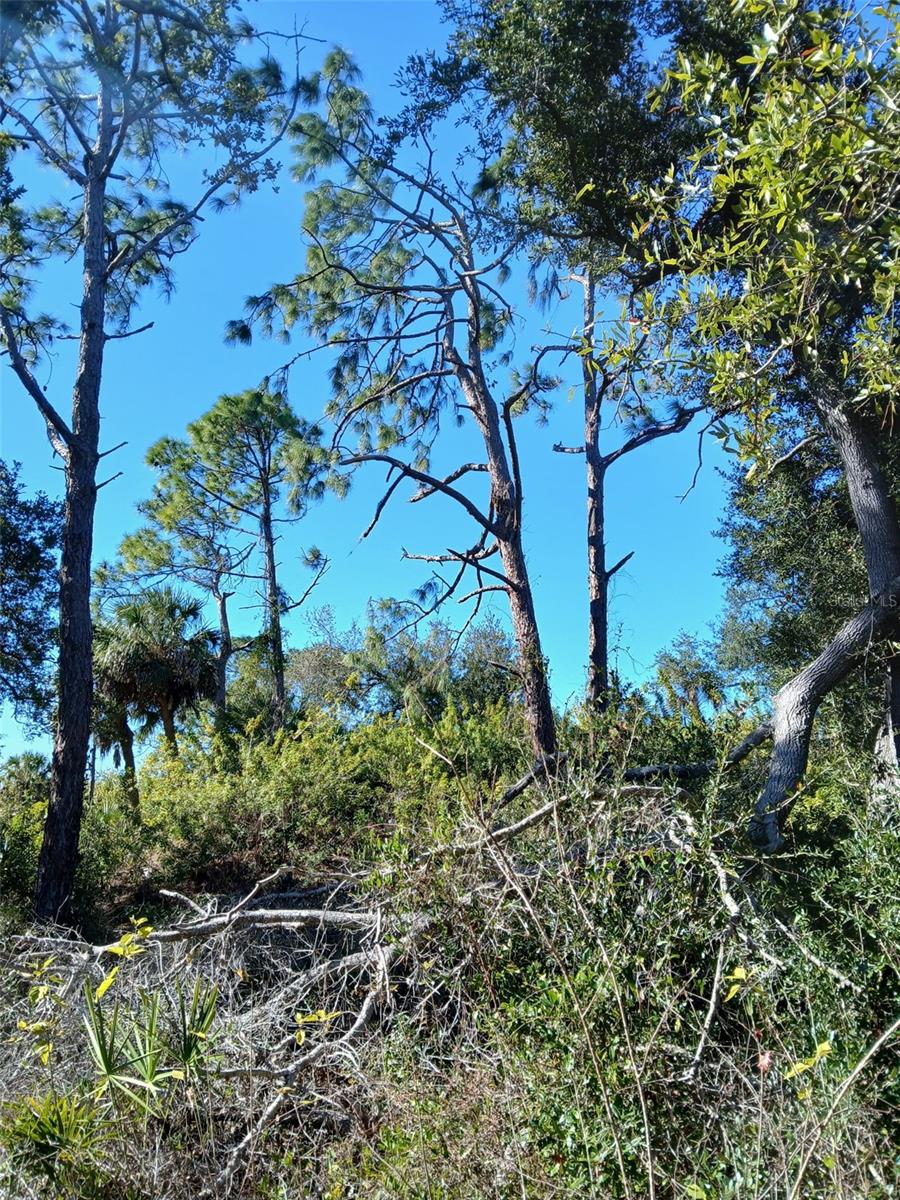 Image 22 of 26 For 13493 Markham Avenue