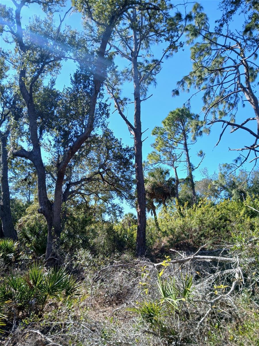 Image 23 of 26 For 13493 Markham Avenue