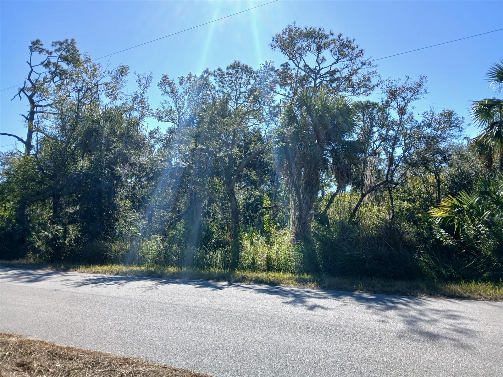 Image 25 of 26 For 13493 Markham Avenue