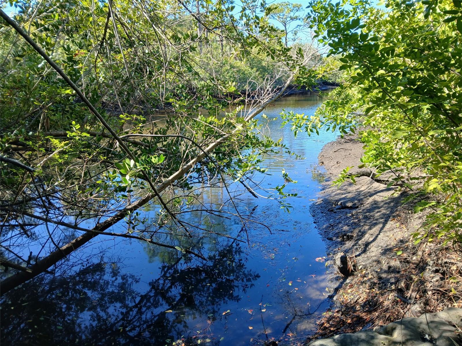 Image 3 of 26 For 13493 Markham Avenue