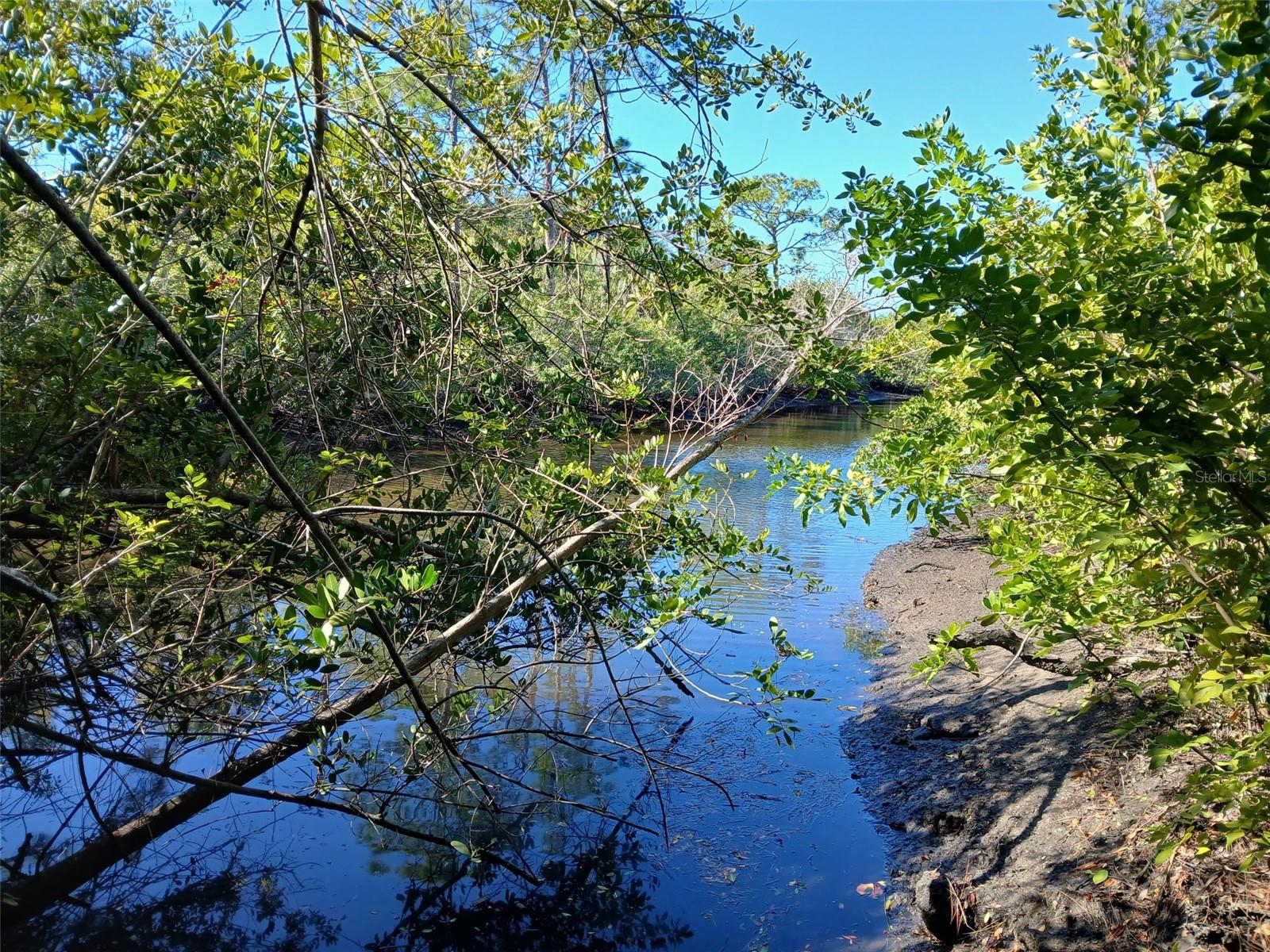 Image 4 of 26 For 13493 Markham Avenue