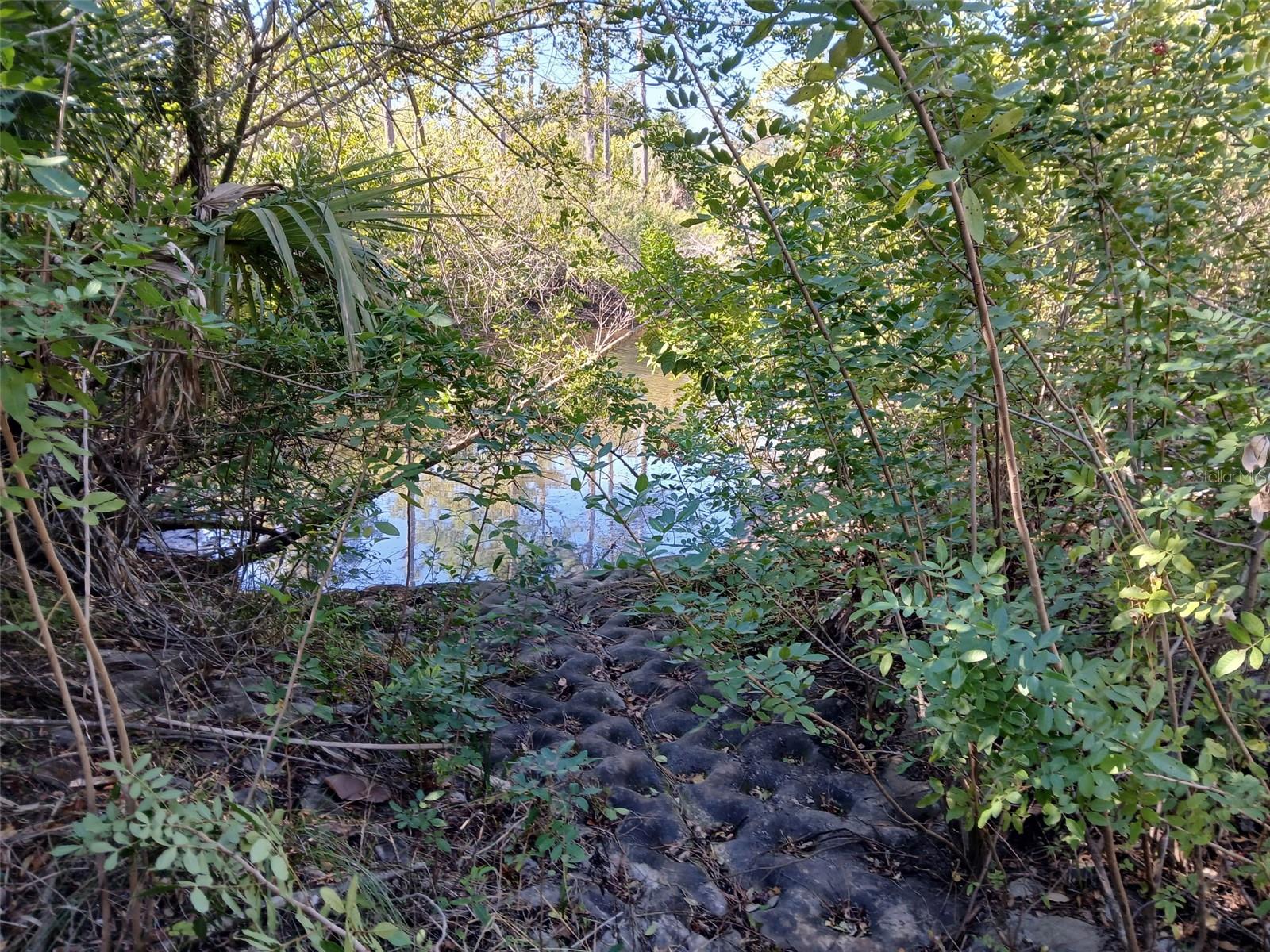 Image 5 of 26 For 13493 Markham Avenue