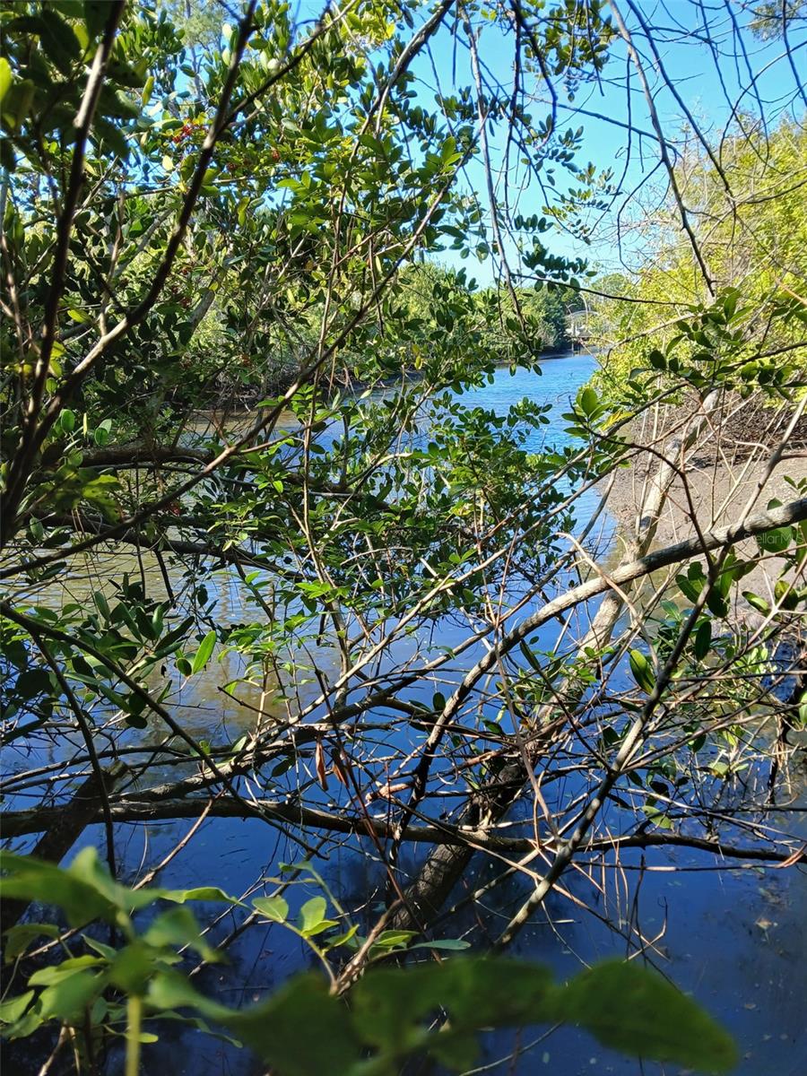 Image 6 of 26 For 13493 Markham Avenue