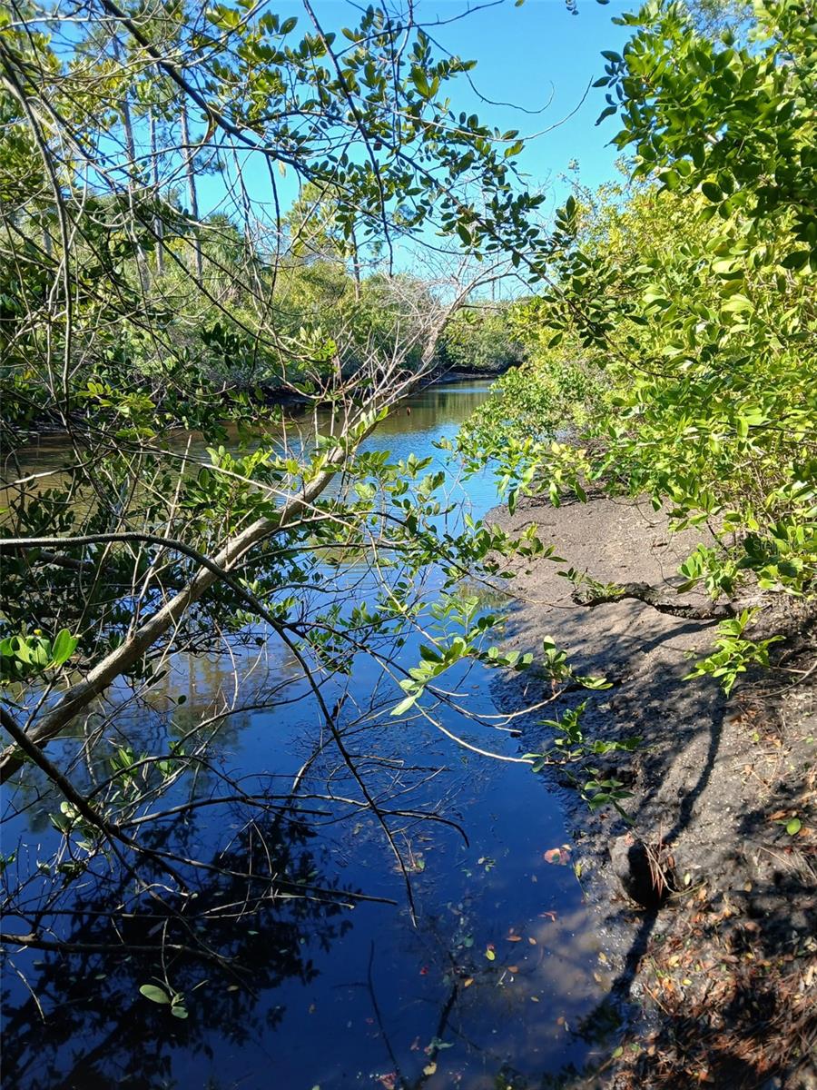 Image 7 of 26 For 13493 Markham Avenue