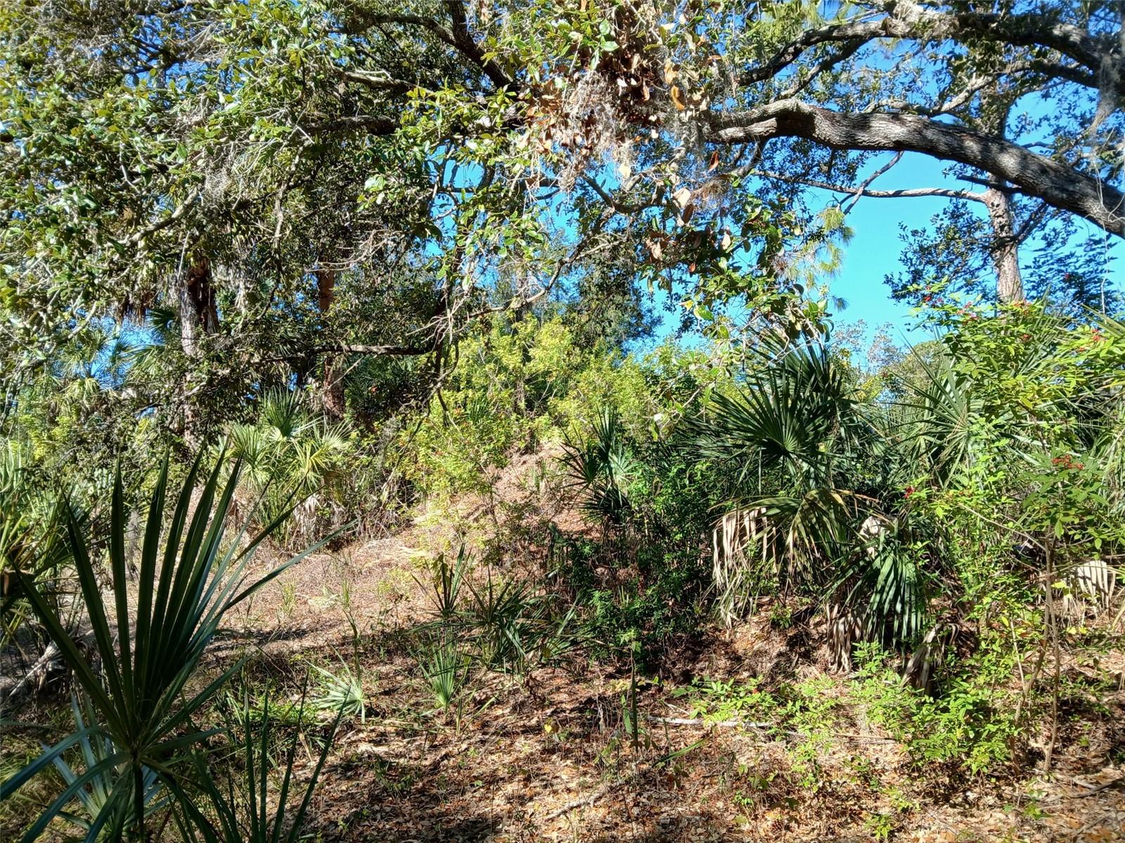 Image 8 of 26 For 13493 Markham Avenue