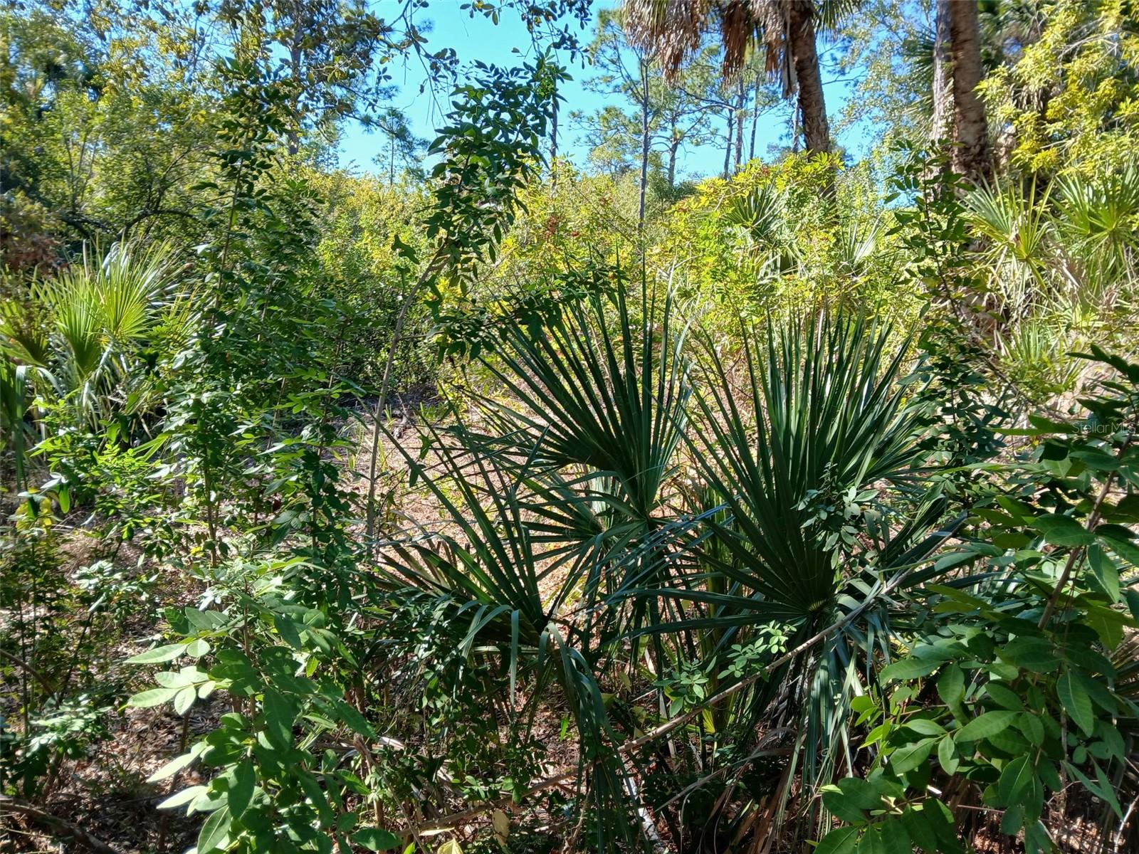 Image 9 of 26 For 13493 Markham Avenue