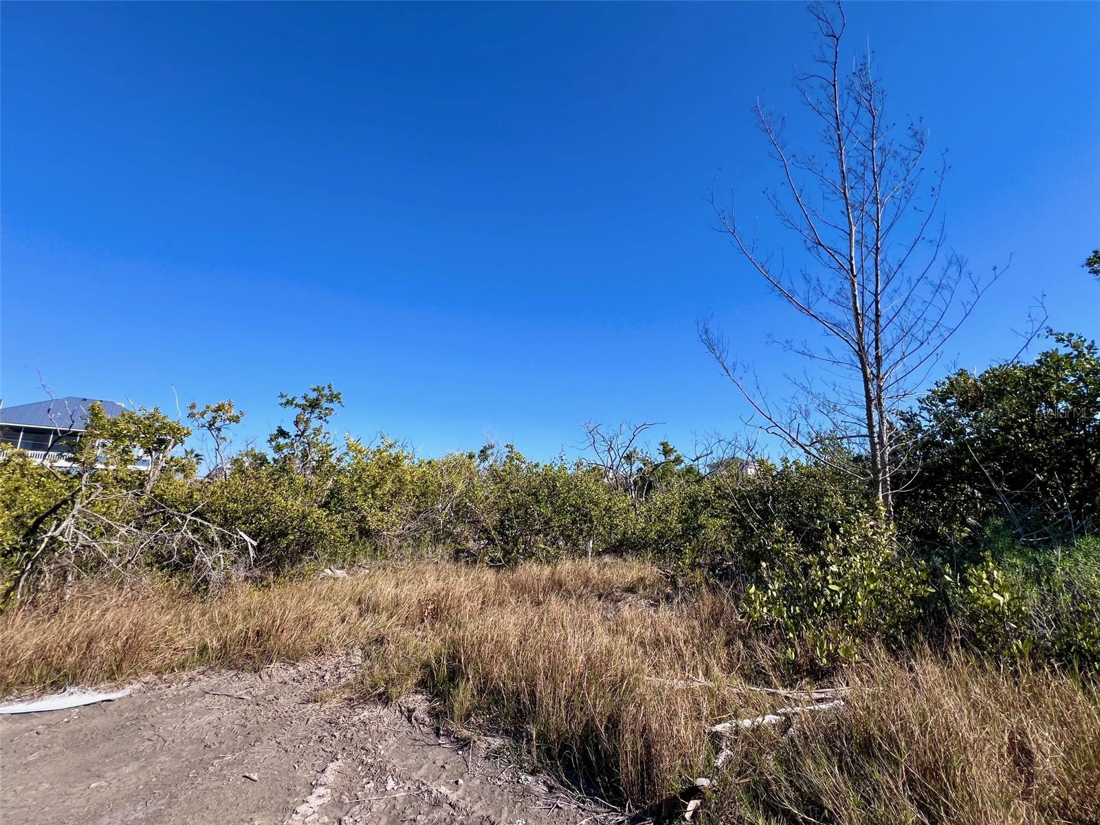 Image 4 of 15 For 9574 Buccaneer Trail