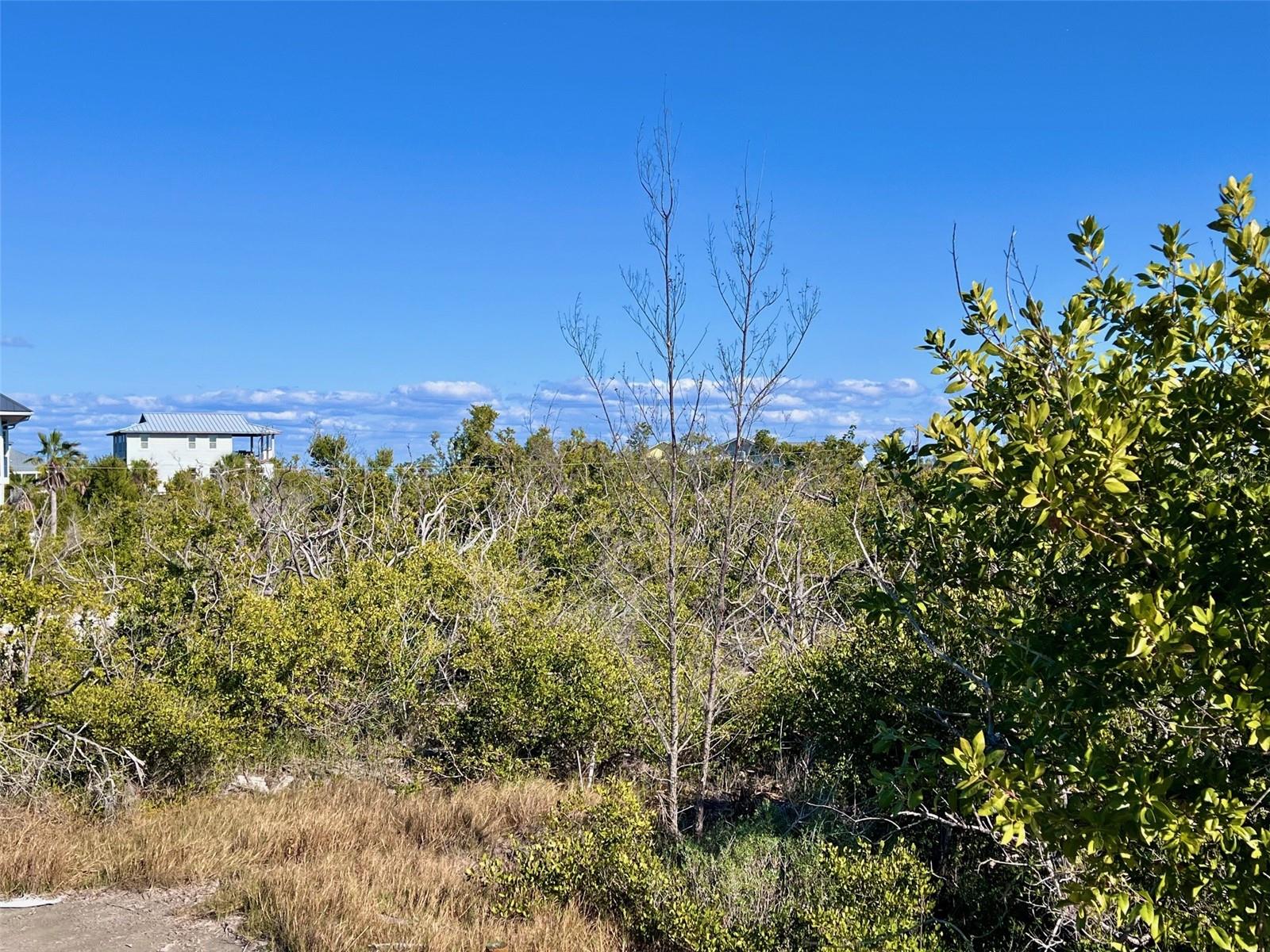 Image 5 of 15 For 9574 Buccaneer Trail