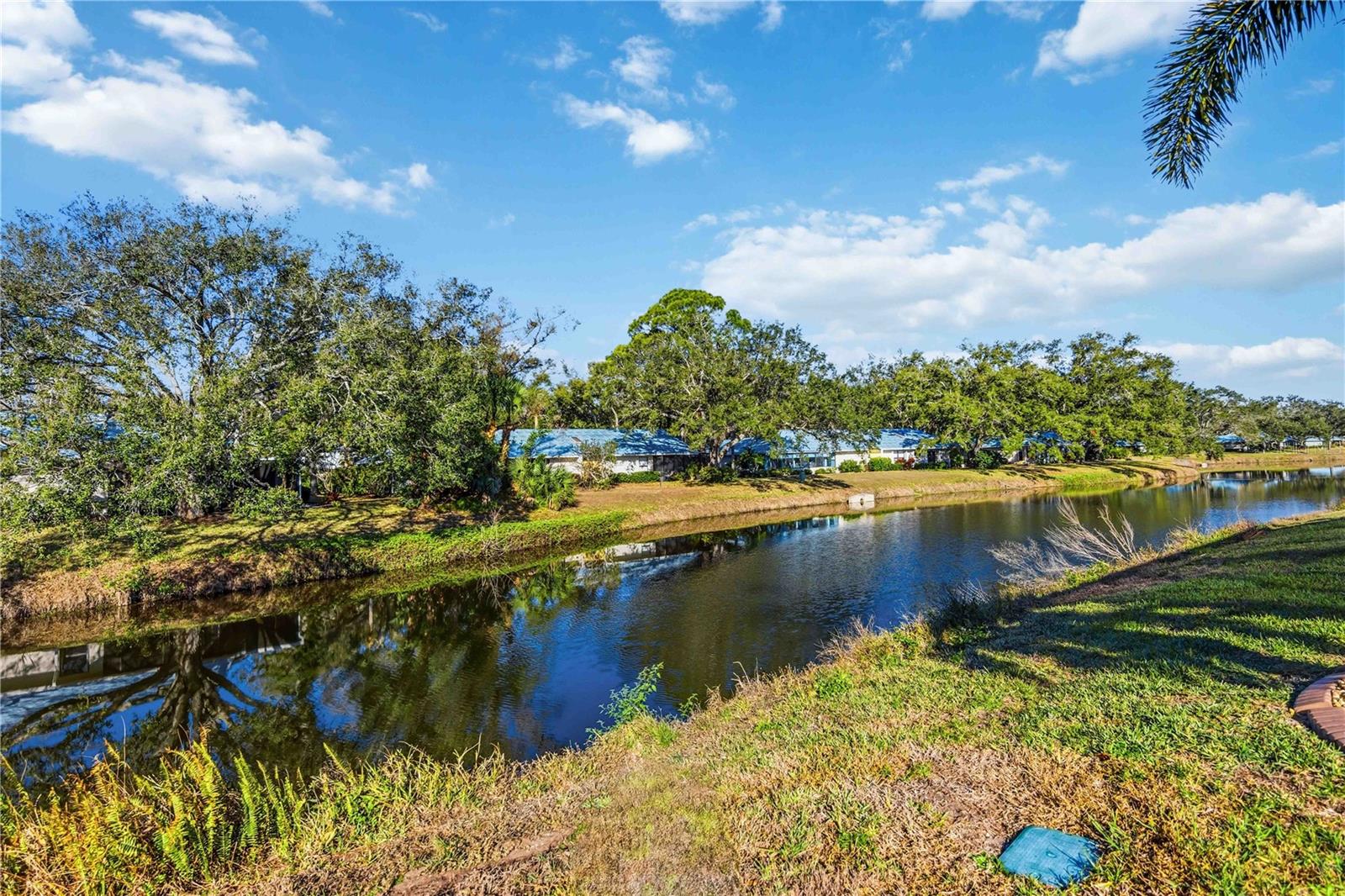 Image 31 of 47 For 138 Braemar Avenue