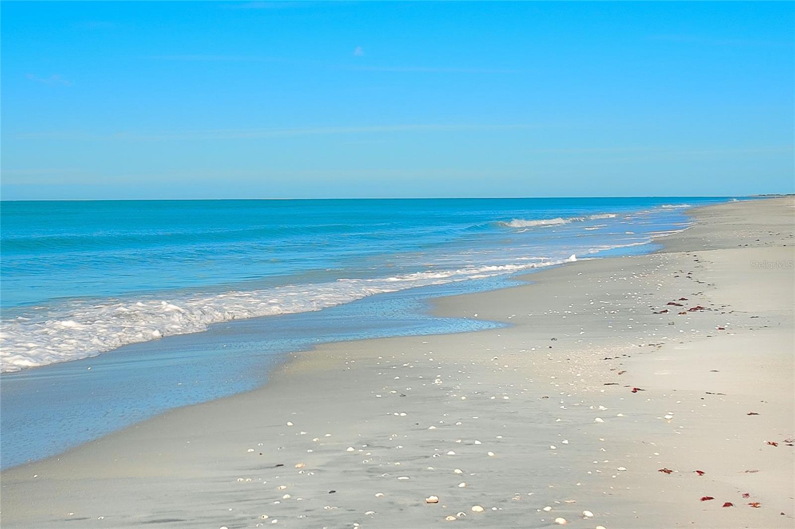 Image 35 of 37 For 7470 Palm Island Drive 2811