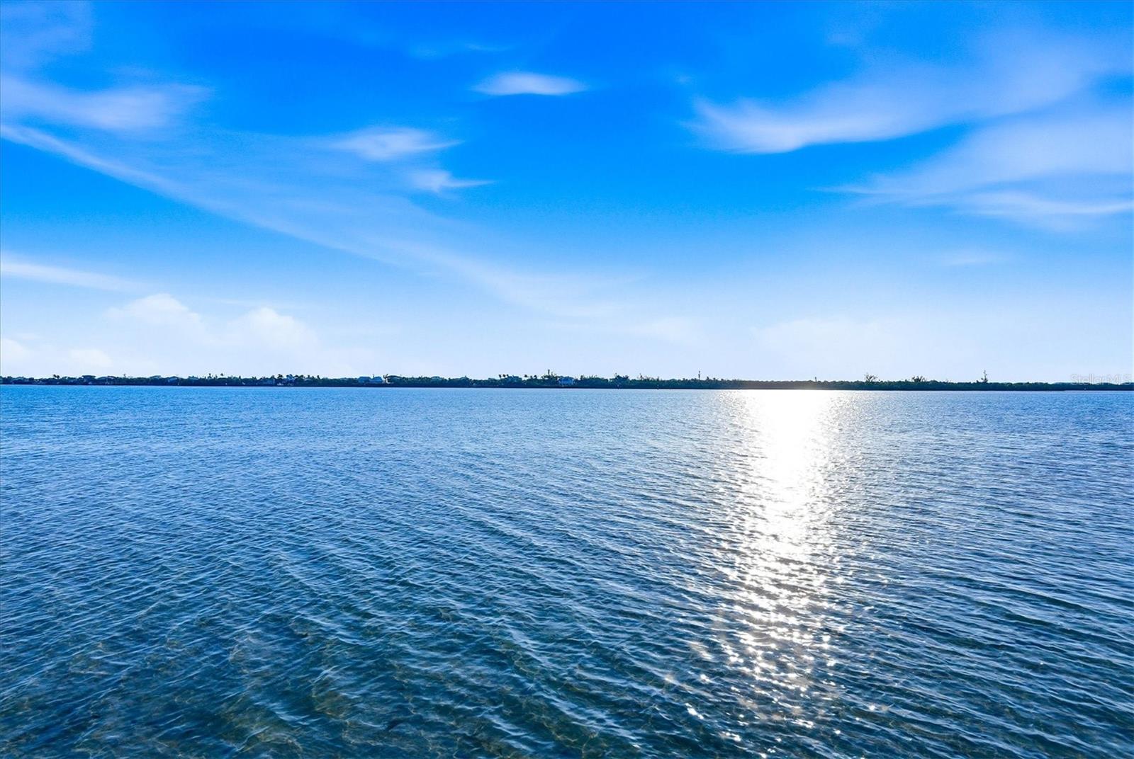 Image 80 of 97 For 9941 Eagle Preserve Drive