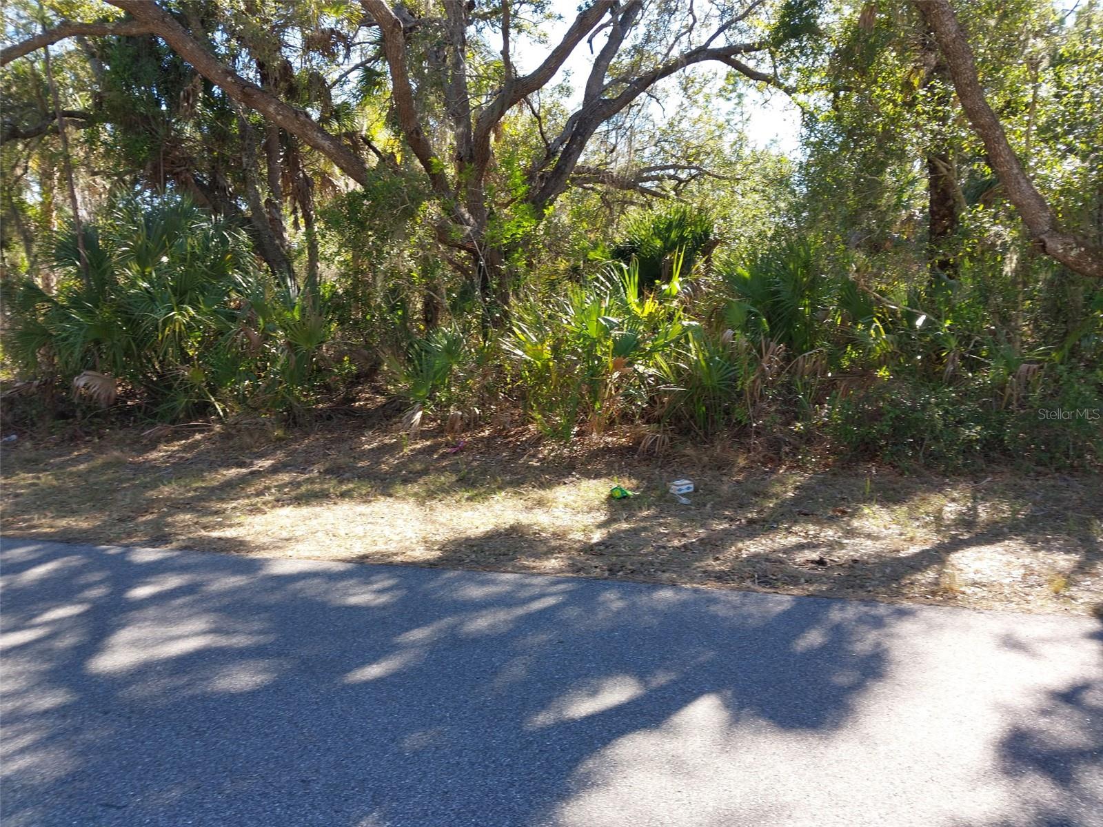 Image 2 of 2 For 343 Bamboo Drive