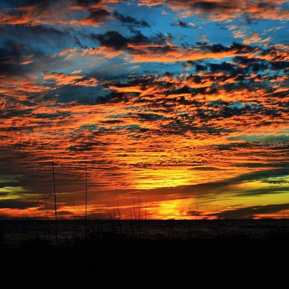 Listing photo id 83 for 391 Gulf Boulevard