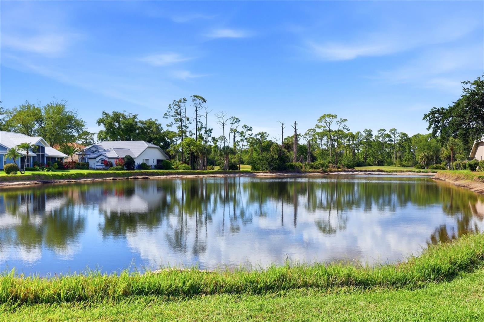 Image 51 of 93 For 14402 Bridgeview Lane