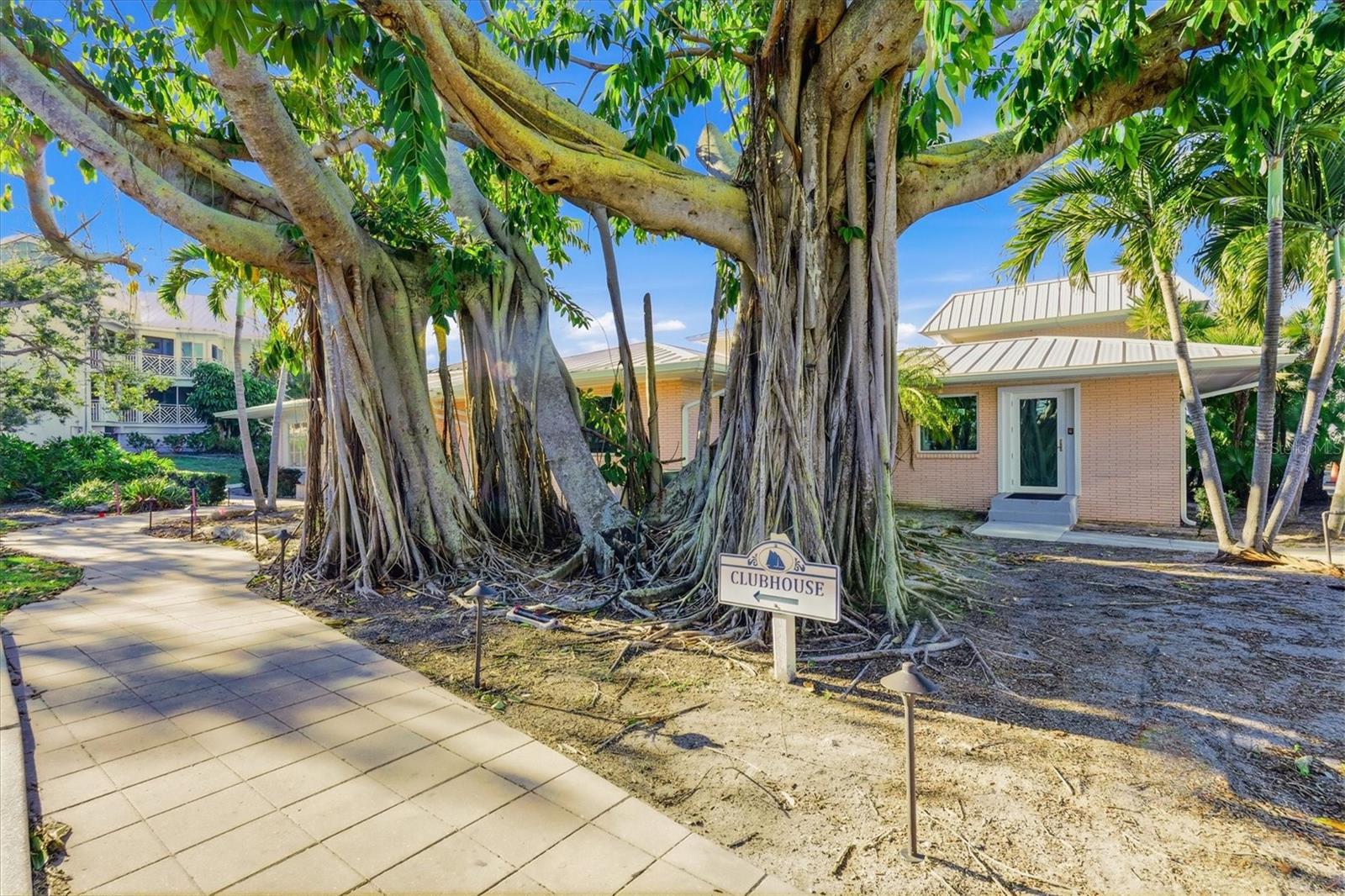 Image 37 of 57 For 11000 Placida Road 2501