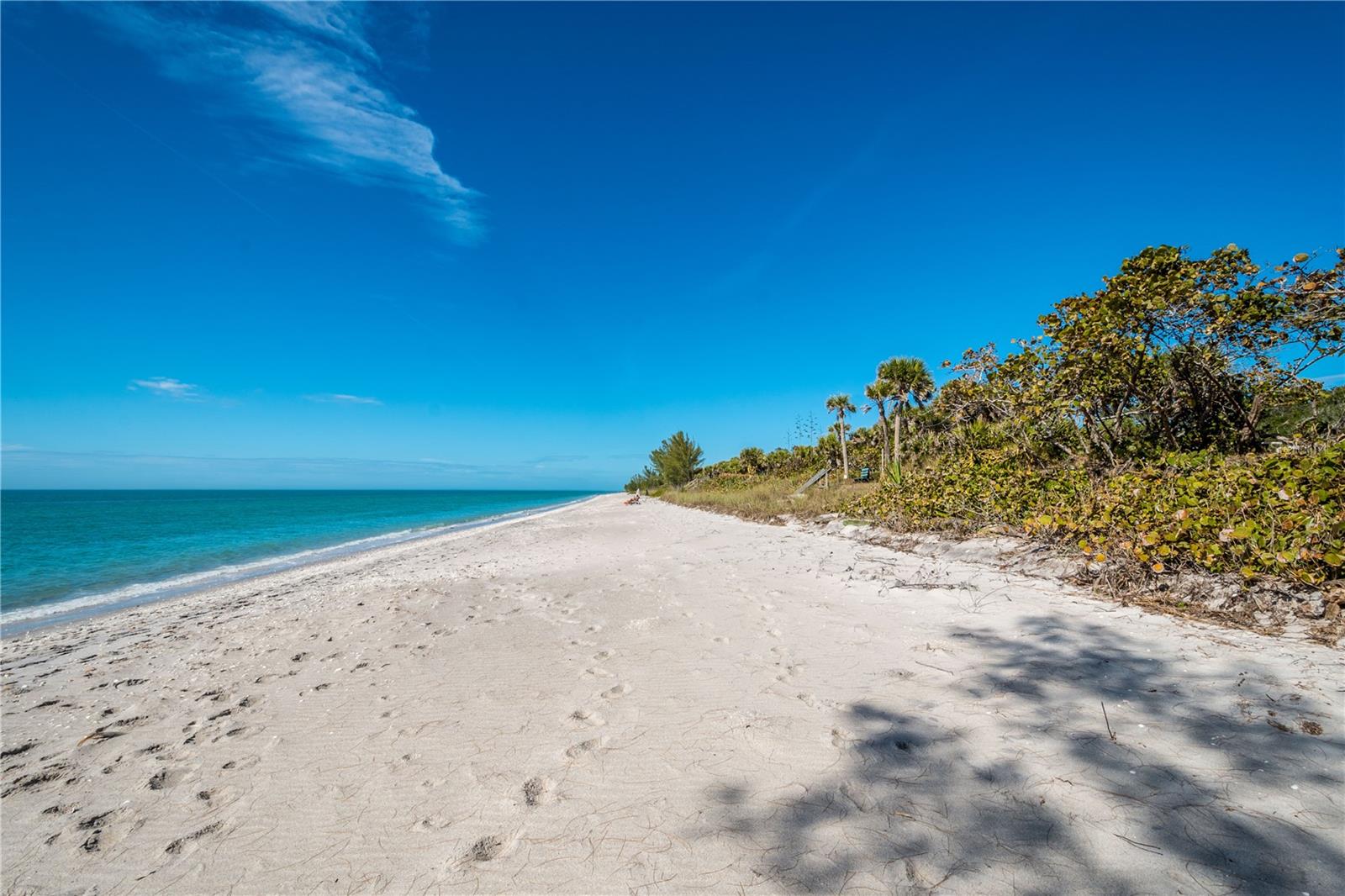 Listing photo id 53 for 1551 Beach Road 204