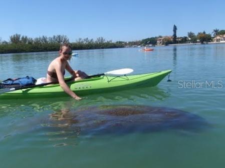 Image 13 of 14 For 8362 Santa Cruz Drive