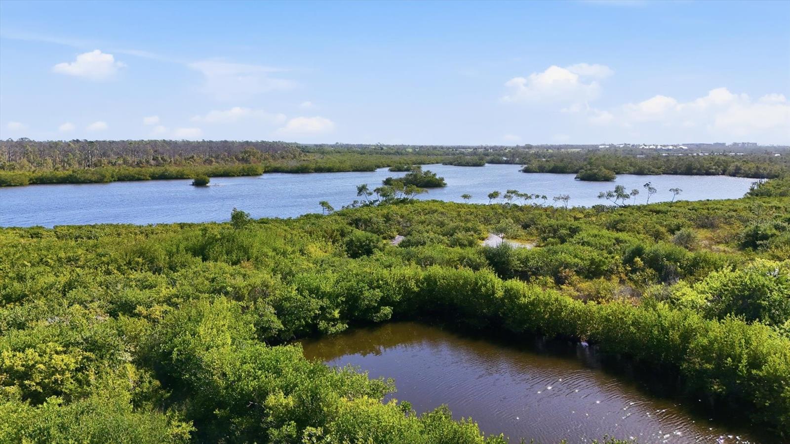 Image 37 of 64 For 10309 Coral Landings Court 100