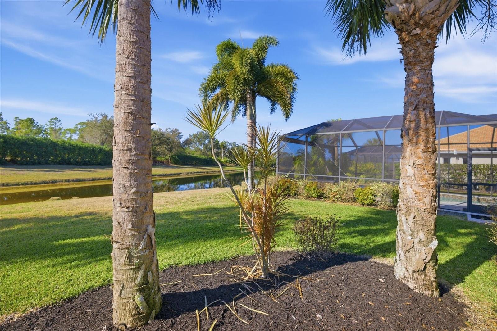 Image 43 of 59 For 134 Medici Terrace Terrace