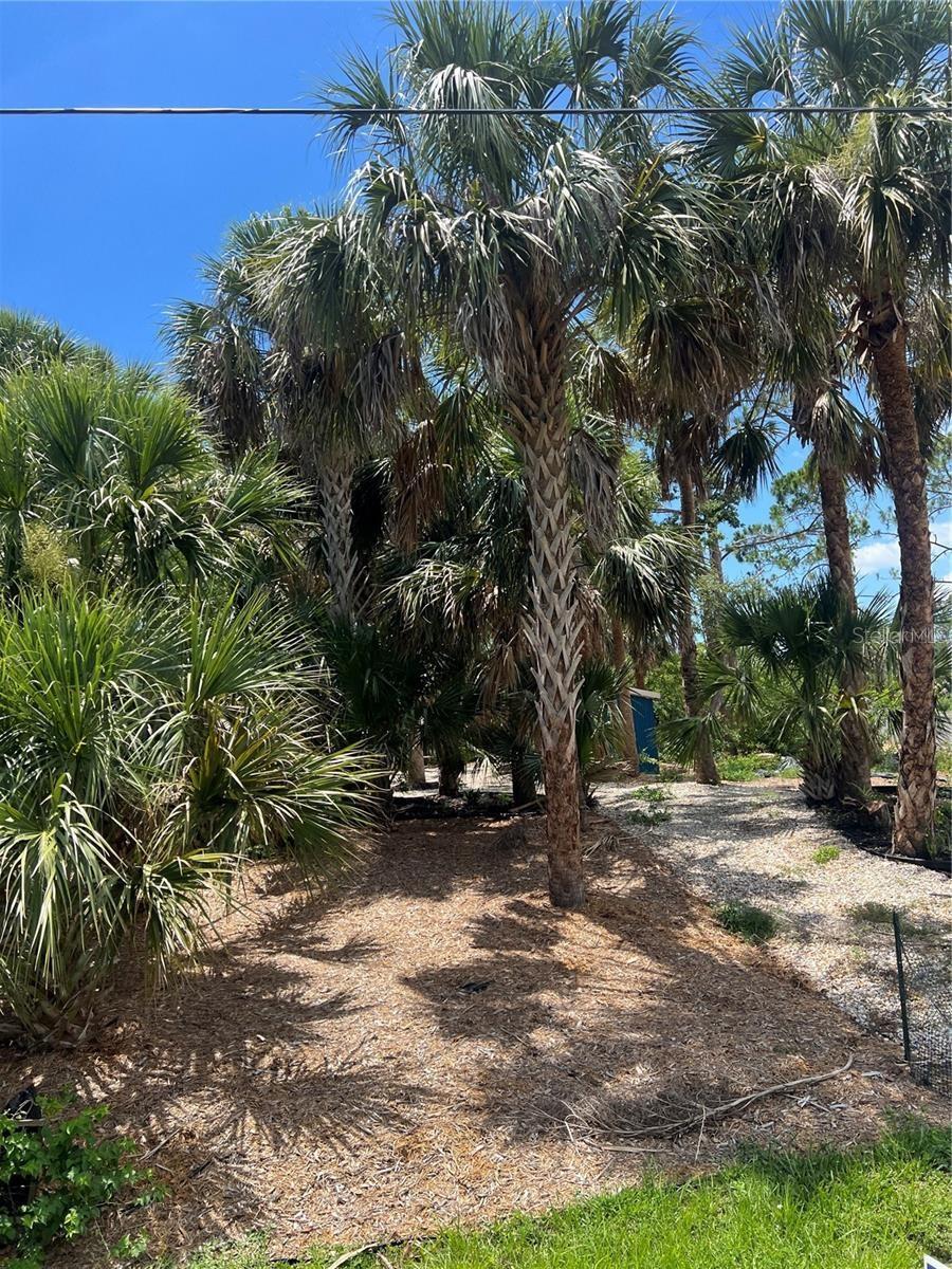 Details for 141 Hoffer Street, PORT CHARLOTTE, FL 33953