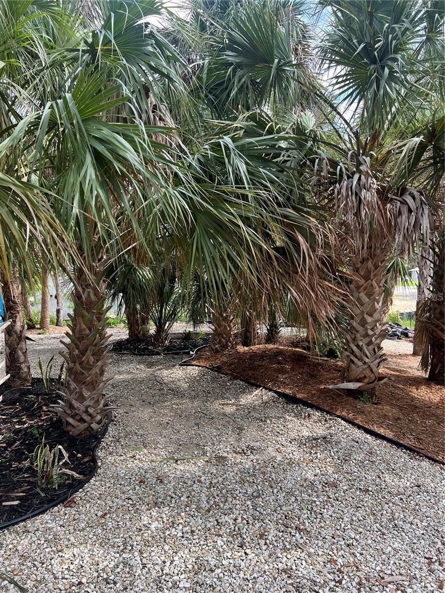 Image 2 of 4 For 141 Hoffer Street