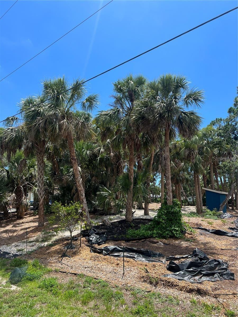 Image 3 of 4 For 141 Hoffer Street