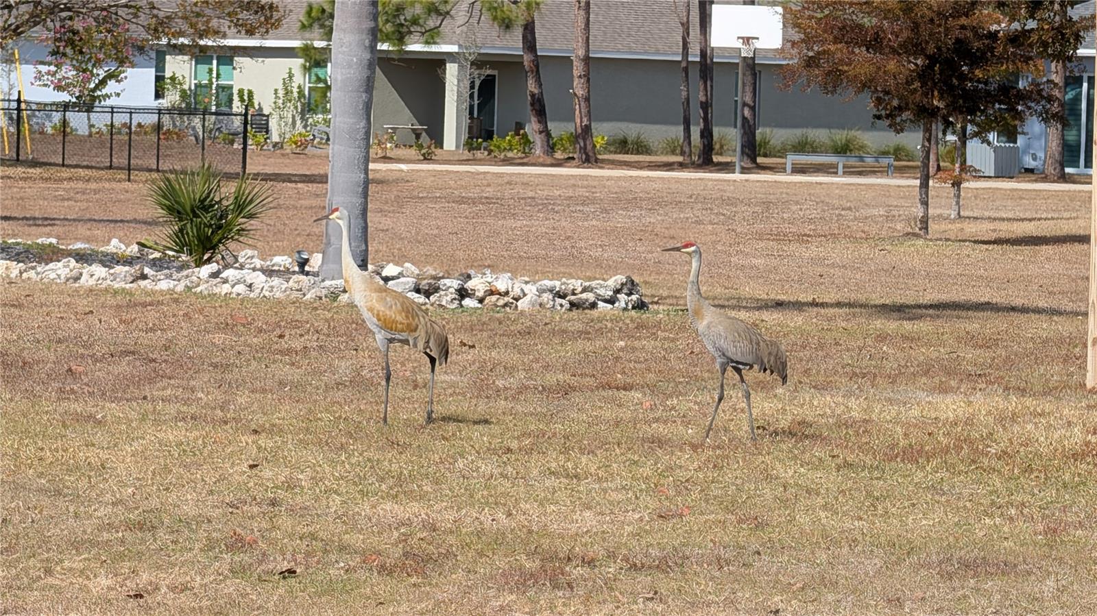 Image 39 of 43 For 16153 Alcira Circle