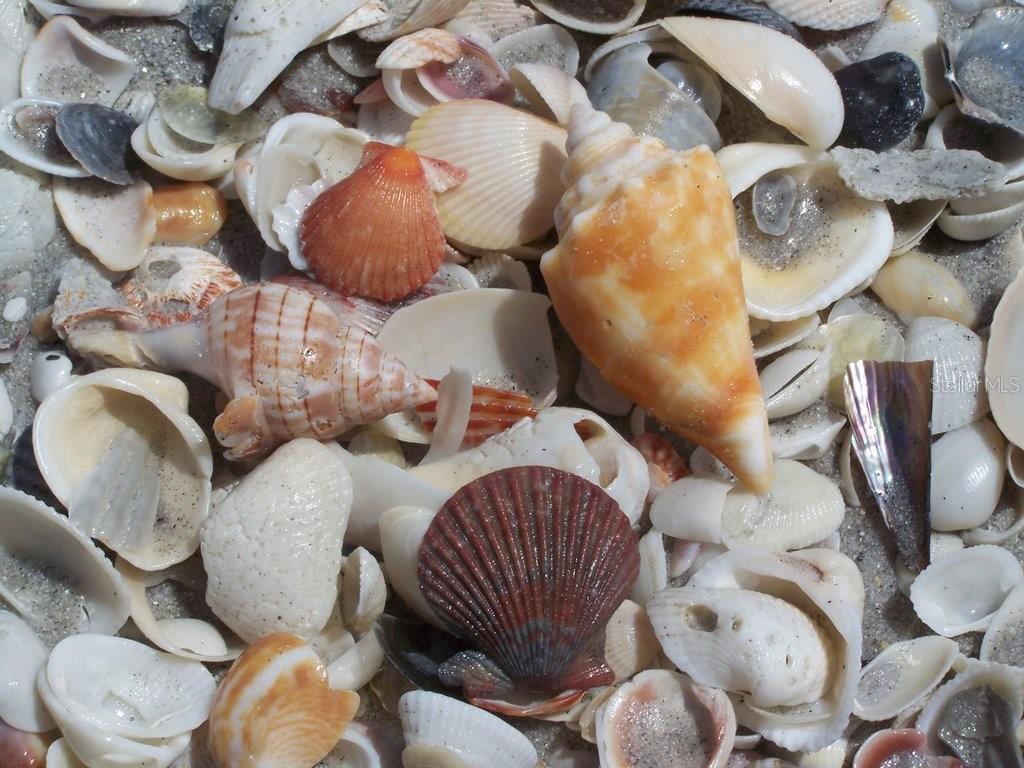 Image 45 of 46 For 221 Gulf Boulevard A