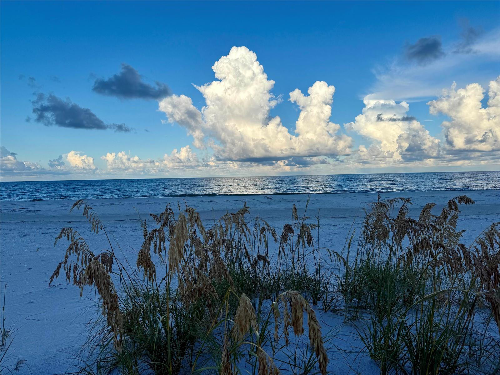 Image 31 of 41 For Address Not Provided