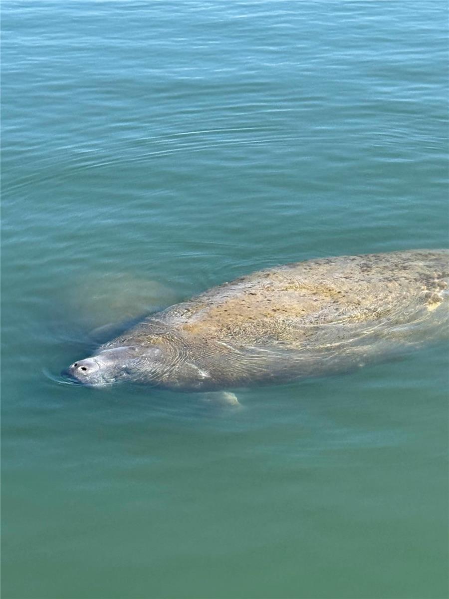 Image 37 of 41 For Address Not Provided