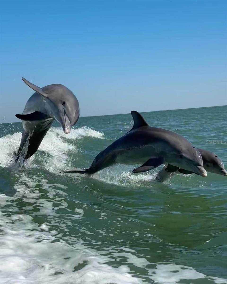 Image 40 of 41 For Address Not Provided