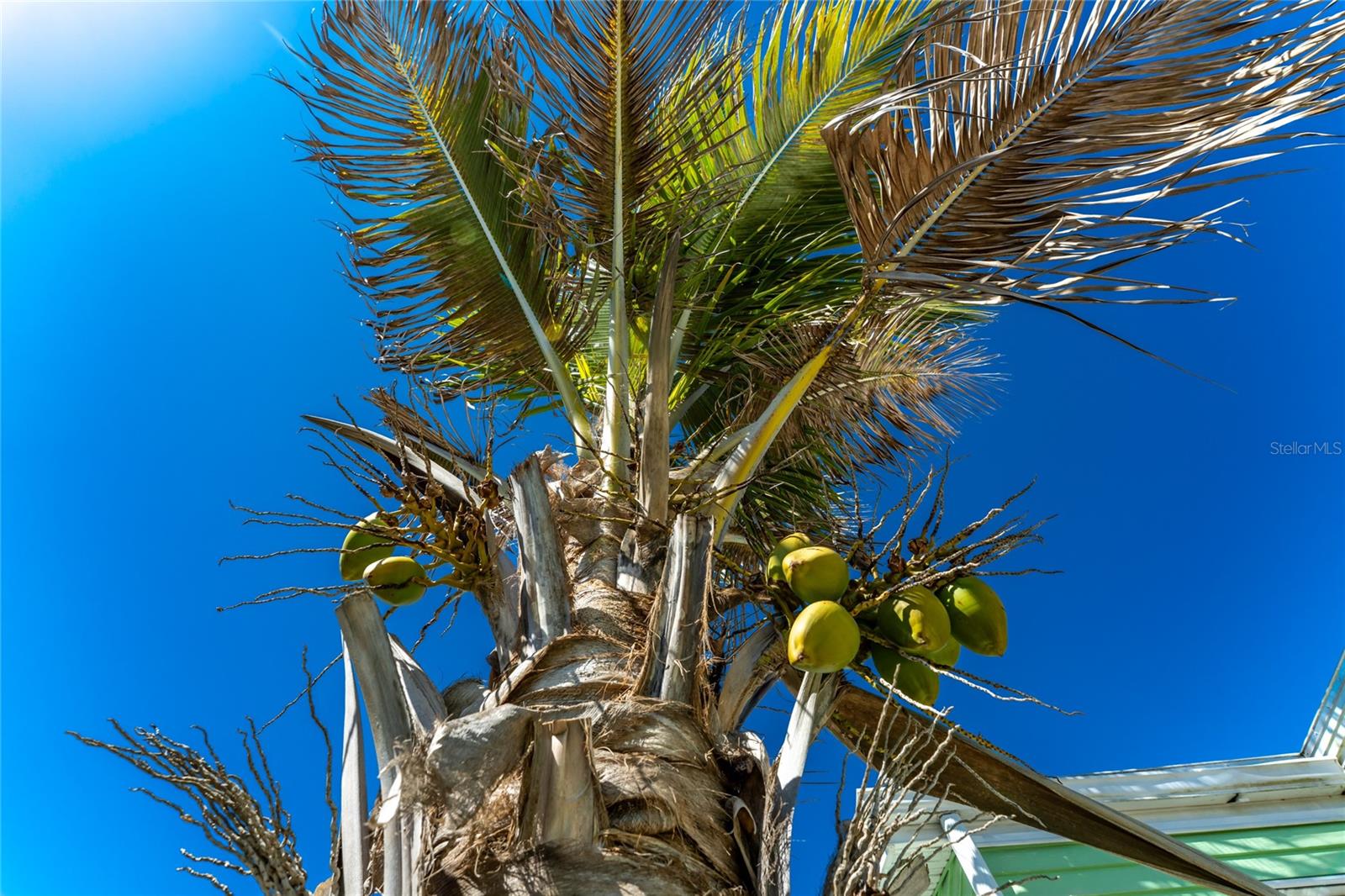 Image 33 of 60 For 1475 Flamingo Drive 333