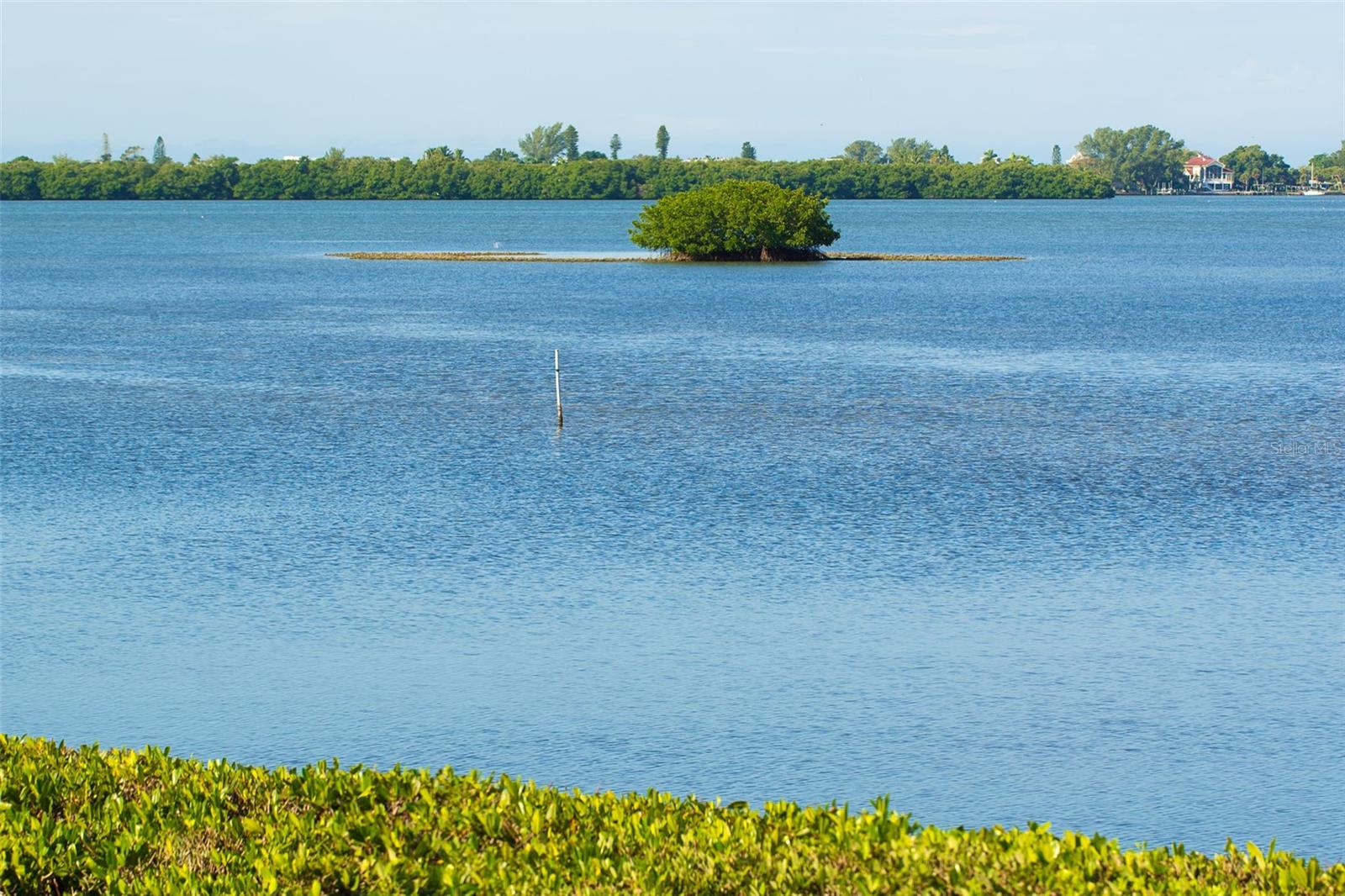 Image 40 of 65 For 2424 Placida Road C101