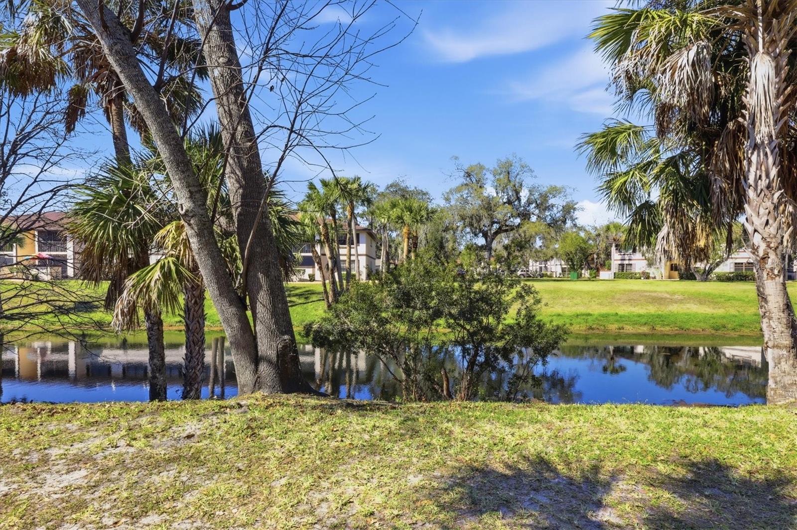 Image 25 of 40 For 1515 Forrest Nelson Boulevard P105